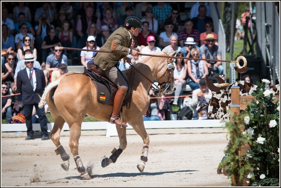 Pferd International 137